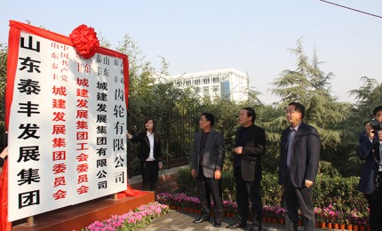 正式组建山东泰丰城建发展集团