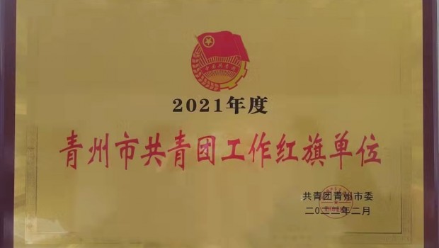 集团团委被授予2021年度”青州市共青团工作红旗单位“荣誉称号