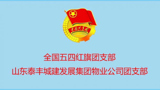 泰丰物业公司团支部喜获 国 家 级 表彰！